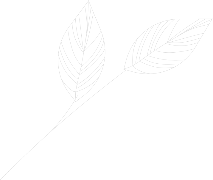 Công ty Cổ phần Coffee Y Sinh